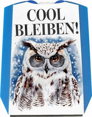 Produktbild von Schneeeule mit Sonnenbrille Cool bleiben Parkscheibe