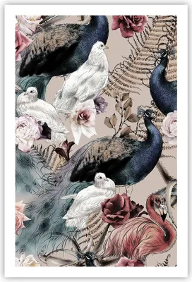 Produktbild von Poster - Poster ohne Rahmen - Pfauen Squab Flamingos - 61x91,5 cm - Wand Bild - Wanddeko - Wandbilder - Kunstposter - Wandposter - Bilder - Kunstdruck - Wanddekoration - Wandbild - P2XPA61x91-4890