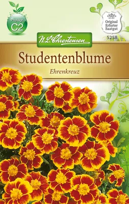 Produktbild von Studentenblume Ehrenkreuz | Studentenblumensamen von N.L. Chrestensen