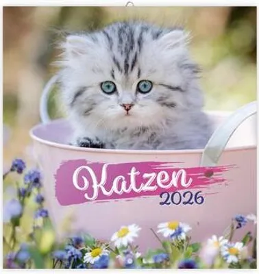 Produktbild von Trötsch Broschürenkalender Katzen 2026
