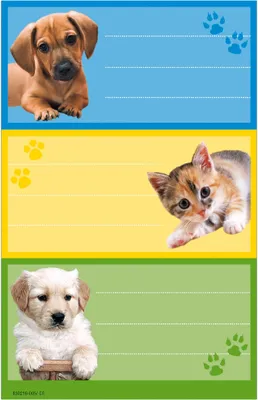 Immagine prodotto di etichette del libro herlitz animali, 78 x 42 mm