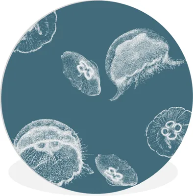 Produktbild von MuchoWow® Rundes Wandbild - Runde Bilder Qualle - Blau Ø 60 cm Kreis Wanddekoration Kunststoff - Wandkreis - Wandschmuck - Wand Kreis - Das Schlafzimmer - Die Bilder - Wandmalerei - Kunst für das Haus - das Plastik