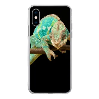 Produktbild von MuchoWow® Handyhülle Schutzhülle Hülle für iPhone X Chamäleon - Zweig - Pastell Silikon Softcase Handy Hülle - Handyhülle