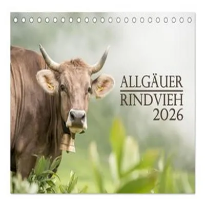 Produktbild von Allgäuer Rindvieh 2026 (Tischkalender 2026 DIN A5 quer), CALVENDO Monatskalender
