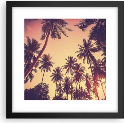 Produktbild von Gerahmtes Poster - Schwarzer Rahmen - Palmen Himmel Sonne - 30x30 cm - Wand Bild - Wanddeko - Wandbilder - Kunstposter - Wandposter - Bilderrahmen - Bilder - Kunstdruck - Wandbild - P2BAC30x30-4220
