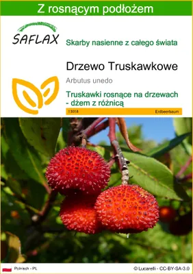 Zdjęcie produktu dla SAFLAX - Drzewo Truskawkowe - 50 Nasiona - Z podłożem uprawowym wolnym od zarazków - Arbutus unedo