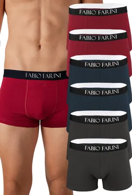 Produktbild von Fabio Farini - 6 Stück Herren Boxer Unterhosen Baumwolle - Männer Retroshorts angenehme Passform und Pflegehinweis aufgedruckt