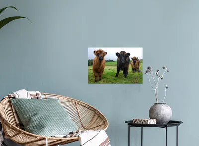 Produktbild von MuchoWow® - Wierderverwendbar - Selbstklebend