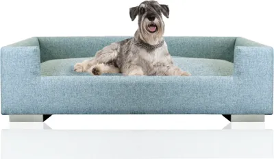 A dog is lying on a dog bed.