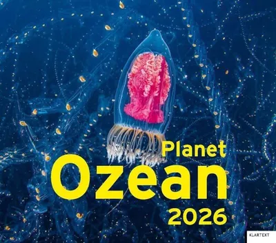 Produktbild von Kalender für das Jahr 2026