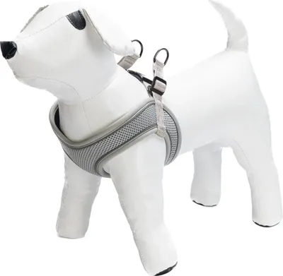 Produktbild von Beeztees Geschirr Premium Parinca Step-In grau, Verstellmöglichkeit: 38 - 44 cm