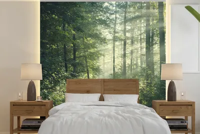 Produktbild von Fotowand - Grün - Pad - Bäume - Natur - Breite 220 cm x Höhe 220 cm