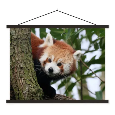 Produktbild von MuchoWow® Textilposter Roter Panda - Blätter - Baum 40x30 cm mit schwarzem Rahmen - Dekorationen