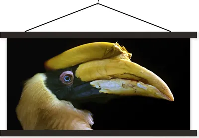 Produktbild von MuchoWow® Textilposter Vogel - Schnabel - Schwarz 150x75 cm mit schwarzem Rahmen - Posterleiste