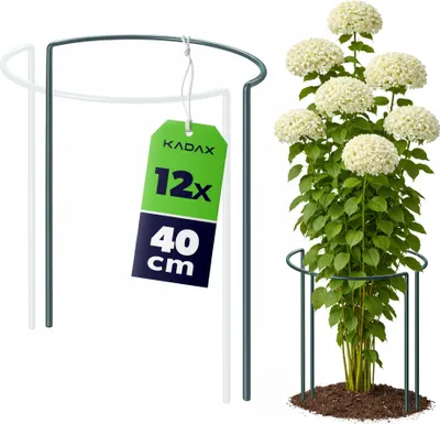 Produktbild von KADAX Pflanzenstütze 40 cm Höhe 6 Stück, Staudenstütze aus pulverbeschichtetem Stahl, Pflanzenhalter für Stauden, Pfingstrosen & Hortensien (Halbrund)