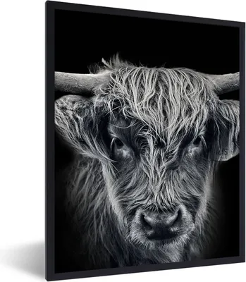 Produktbild von MuchoWow® Gerahmtes Poster Schottischer Highlander - Schwarz - Kuh - Tiere 60x80 cm - Poster mit Schwarzem Bilderrahmen Wandposter Rahmen Foto Bilder - Premium - Wanddeko Wohnzimmer
