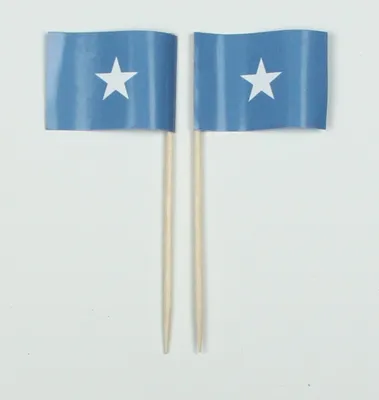 Produktbild von Party-Picker Flagge Somalia Afrika Papierfähnchen in Spitzenqualität 25 Stück Beutel