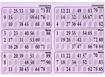 Image de Plaque de 6 grilles de loto rigide 1mm lilas - cartons loto - lotoquine