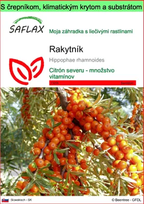 Obrázok produktu pre SAFLAX Garden to go - rakytník - Hippophae rhamnoides - 40 Semená - S črepníkom, klimatickým vekom a pestovateľským substrátom