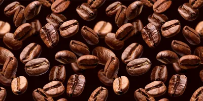 Produktbild von Heizkörperverkleidung Heizkörperverkleidung Küchendeko Kaffee 60x100cm