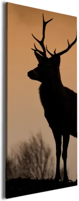 Produktbild von Wallario Premium Leinwandbild Rothirsch am Abend in Größe 30 x 75 cm