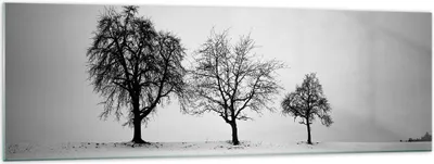 Produktbild von Bilder auf glas - Einteilig - Winter Bäume Schnee - 160x50cm - Glasbilder - Wandbilder - Bilder - zum Aufhängen bereit - Wanddekoration aus Glas - Glas Bilder - Wandbild auf Glas - GAB160x50-4958