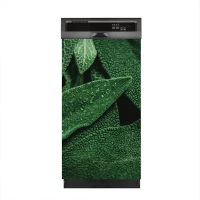 Produktbild von Magnete Dekorative 45x80 cm Küche Magnetmatte Spülmaschine - frischem Salbei
