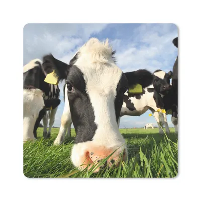 Produktbild von MuchoWow® Mauspad Mousepad Kuh - Gras - Nase - Luft 30x30 cm - Mousepads - Maus Mat - Pad - Mausunterlage - Gaming
