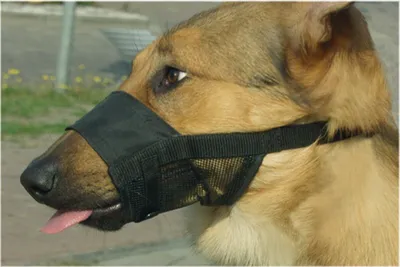 Produktbild von Beeztees Comfort Maulkorb - Hund - M - 15-20 cm