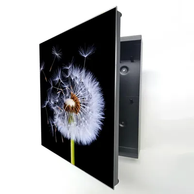 Produktbild von Schlüsselkasten Schwarz Metall, Pusteblume Motiv hinter Glas, Moderne Schlüsselbox linksöffnend, 32x28x6,5 cm, 20 Haken für Ordnung im Haus.