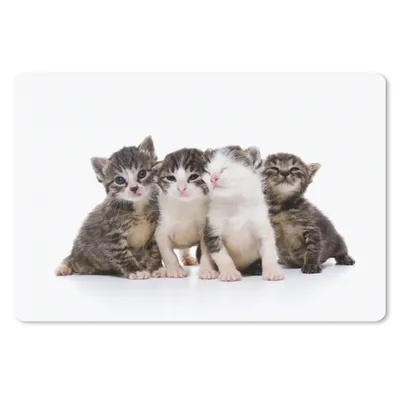 Produktbild von MuchoWow® Mauspad Mousepad Katze - Haustiere - Fell - Porträt 27x18 cm - Mousepads - Maus Mat - Pad - Mausunterlage - Büroartikel - Desk Matten