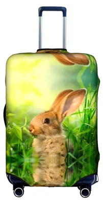 Produktbild von Kofferhülle, Gepäckschutz, elastisch, kratzfest, passend für 45,7 - 81,3 cm Gepäck, weiß, XL