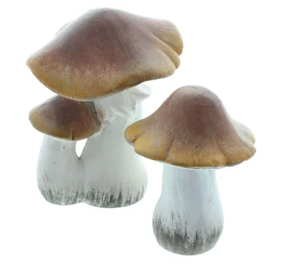 Produktbild von Deko-Pilz Brownie, 2er Set, Terracotta Maße: Höhe 11 cm, 15 cm