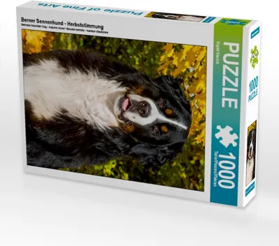 Produktbild von CALVENDO Puzzle Berner Sennenhund - Herbststimmung | 1000 Teile Lege-Größe 64x48cm Foto-Puzzle für glückliche Stunden