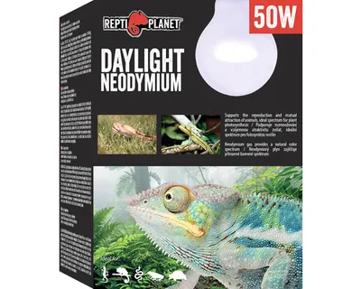 Immagine prodotto di Lampadina al neodimio da 50 W a luce diurna