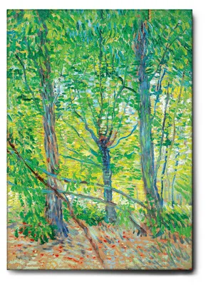 Image de Giallobus - Des arbres - Vincent Van Gogh - 70L x 100l cm - Tableau - Toile à cadre standard