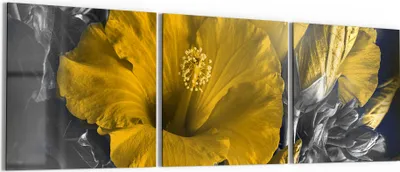 Produktbild von DEQORI Glasbild Echtglas 3x50x50 cm 'Blüten des Roseneibisch' Wandbilder XXL groß