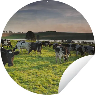 Produktbild von MuchoWow® Gartenposter Outdoor-Poster Rund Kuh - Gras - Sonnenuntergang Ø 90 cm Gartendeko Rundes Poster draußen