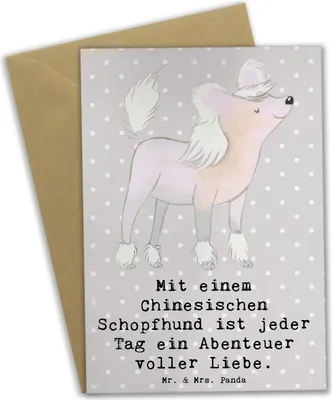 Produktbild von Mr. & Mrs. Panda neujahrskarte Chinesischer Schopfhund Abenteuer - Grau Pastell - Geschenk, osterkarte, Hundefreunde, einladungskarten, Grußkarten, Lebensfreude, Neugier