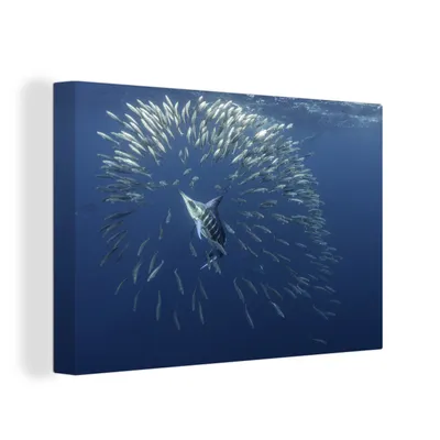Produktbild von OneMillionCanvasses® - Leinwandbilder - 140x90 cm, Fisch - Schwertfisch - Wasser, Wandbilder Kunstdruck Wanddekoration