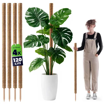Produktbild von Pflanzenstütze für Kletterpflanzen - Kokosstab 4er Set - 120 cm - Ø 4,5 cm - Kokosfaser - Rankhilfe für Monstera und Zimmerpflanzen