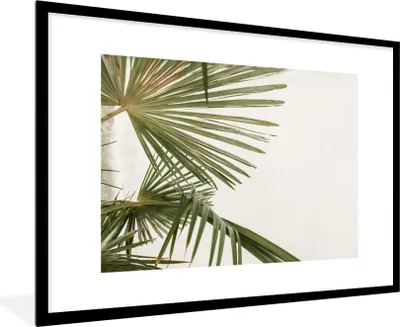 Produktbild von MuchoWow® Gerahmtes Poster Palme - Blätter - Grün 90x60 cm - Poster mit Schwarzem Bilderrahmen Wandposter Rahmen Foto Bilder - Wanddekoration - Fotos