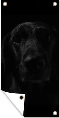 Produktbild von MuchoWow® 40x80 cm Outdoor-Poster Gartendeko Sichtschutz Garten Poster für den Garten  Hund - Haustier - Schwarz