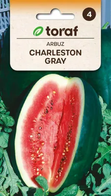 Zdjęcie produktu dla Arbuz Charleston Gray Nasiona Arbuza Odporne Toraf 2.