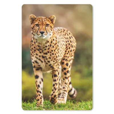 Produktbild von MuchoWow® Mauspad Mousepad Wildtiere - Gras - Leopard - Natur 18x27 cm - Mousepads - Maus Mat - Pad - Mausunterlage