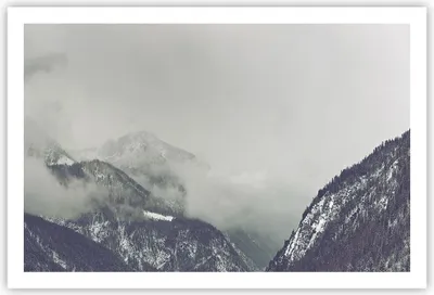 Produktbild von Poster - Poster ohne Rahmen - Berge Wald Nebel - 91,5x61 cm - Wand Bild - Wanddeko - Wandbilder - Kunstposter - Wandposter - Bilder - Kunstdruck - Wanddekoration - Wandbild - P2XAA91x61-4270