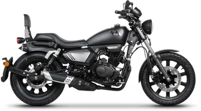 Immagine prodotto di Schienalino passeggero moto SHAD Sissybar