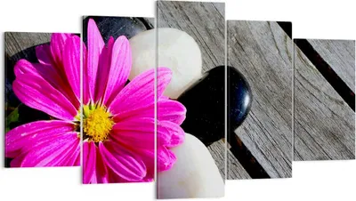 Produktbild von Bild auf Leinwand - Leinwandbild - Stein Blume Blütenblätter Chrysantheme - 160x85cm - Wand Bild - Wanddeko - Leinwanddruck - Bilder - Kunstdruck - Leinwand bilder - Wandkunst - EA160x85-2302