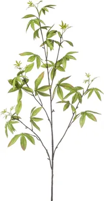 Produktbild von artplants.de Kunstzweig Fingeraralie MOLFER, grün, 115cm - Deko Aralienzweig