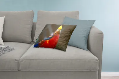 Produktbild von MuchoWow® Zierkissen Sofakissen Wohnzimmer Dekokissen 60x40 cm Fasan - Gold - Tiere - Kopfkissen - Polster mit Foto